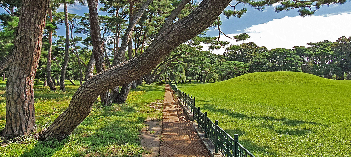 경주 오릉 산책로 