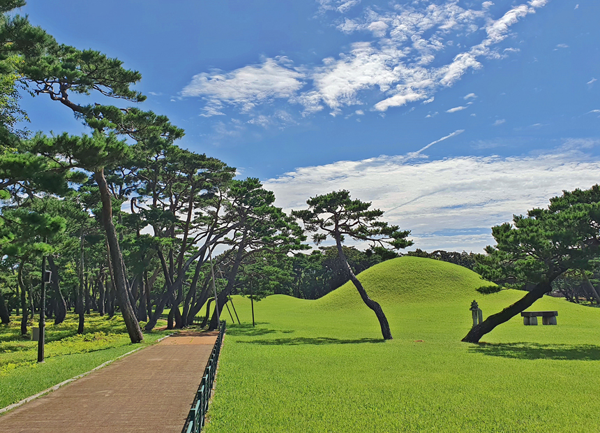 경주 오릉 산책로 