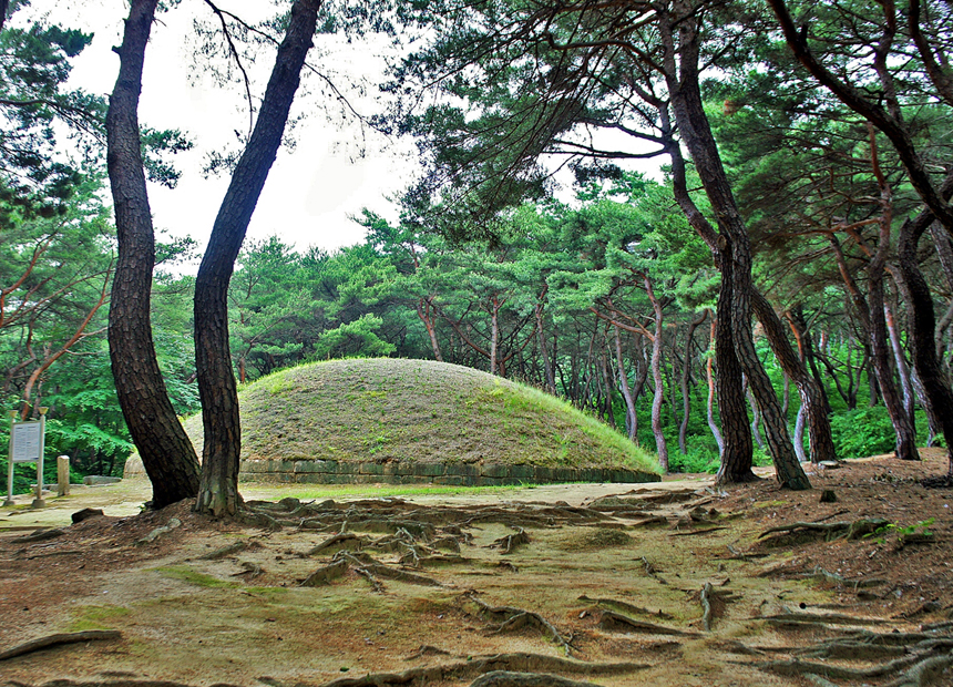 거닐기 좋은 왕릉 산책길 ‘소나무 숲이 아름다운 경주 헌강왕릉과 정강왕릉’ 