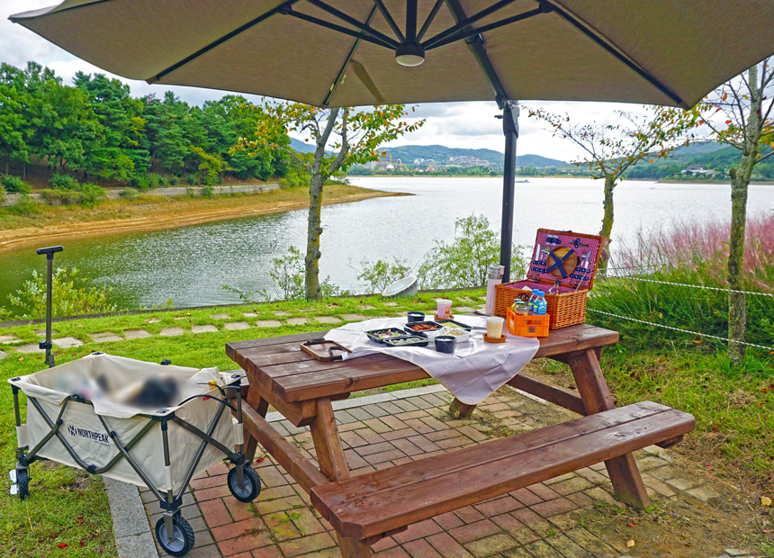 핑크뮬리가 아름다운 보문관광단지 사랑공원 피크닉