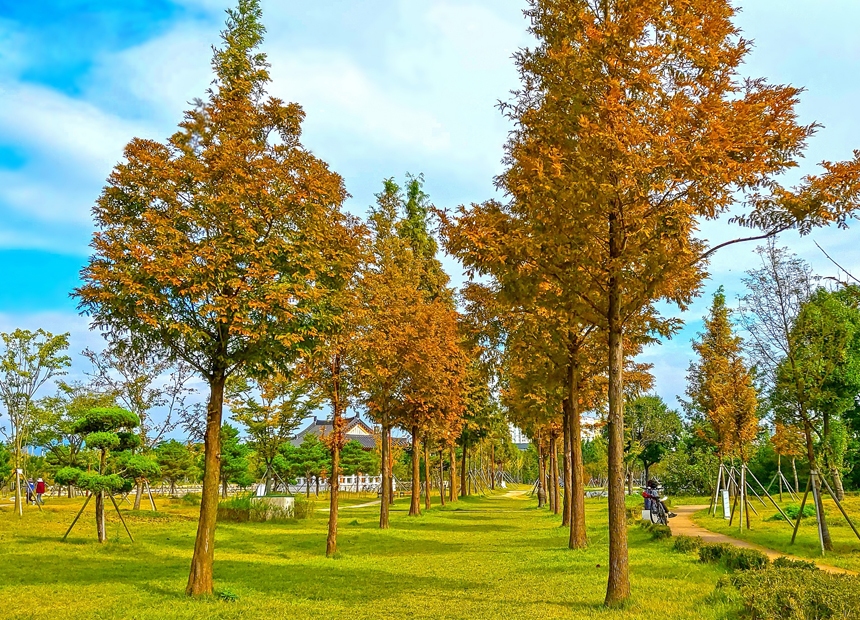 한중 우호의 숲