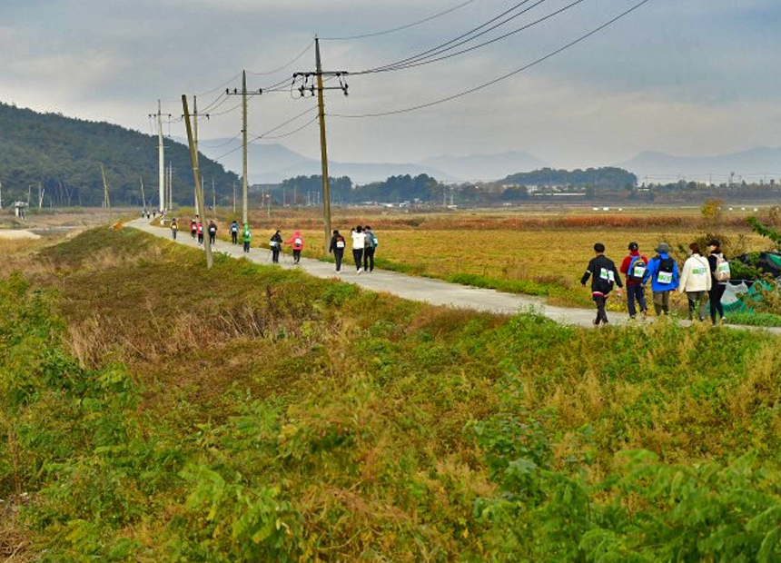 지난 대회 장면 (주최측 제공)