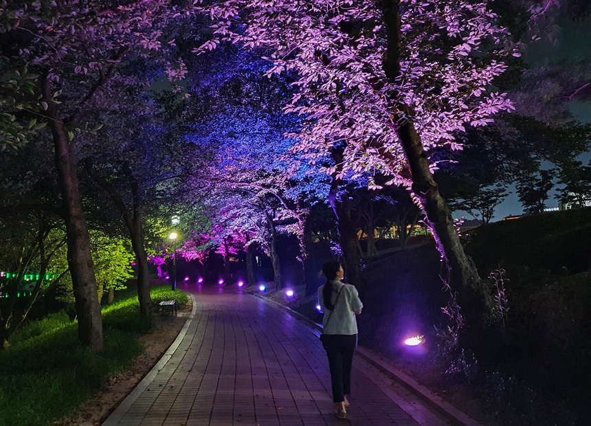 지난 대회 장면 (주최측 제공)