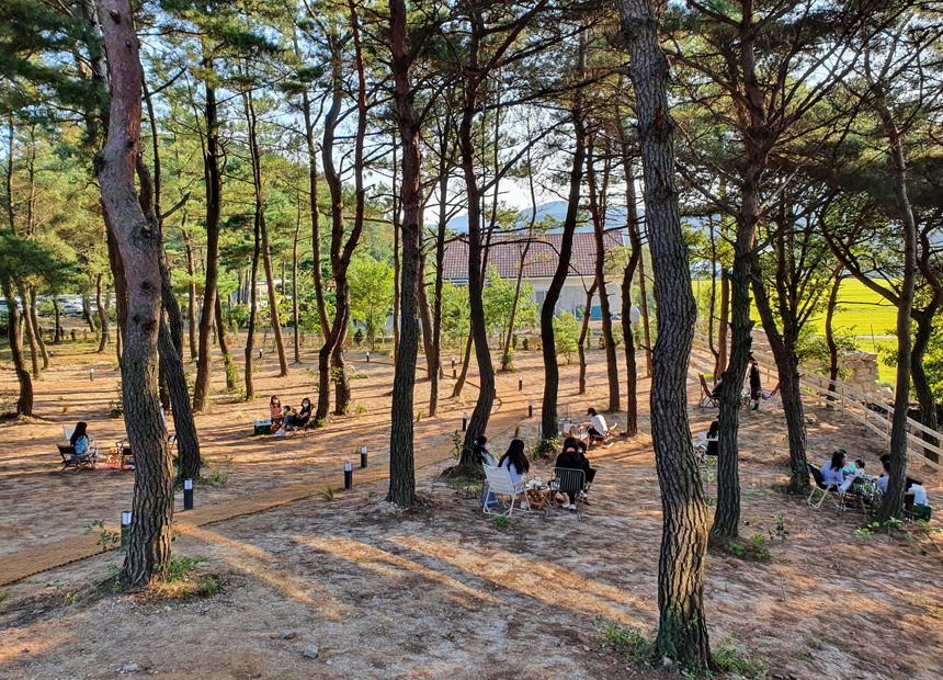 소디스 커피 야외 정원