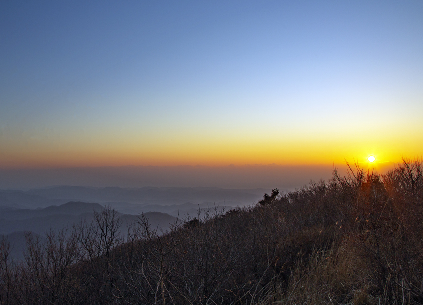 흥무공원 앞 형산강 둔치 억새 산책길