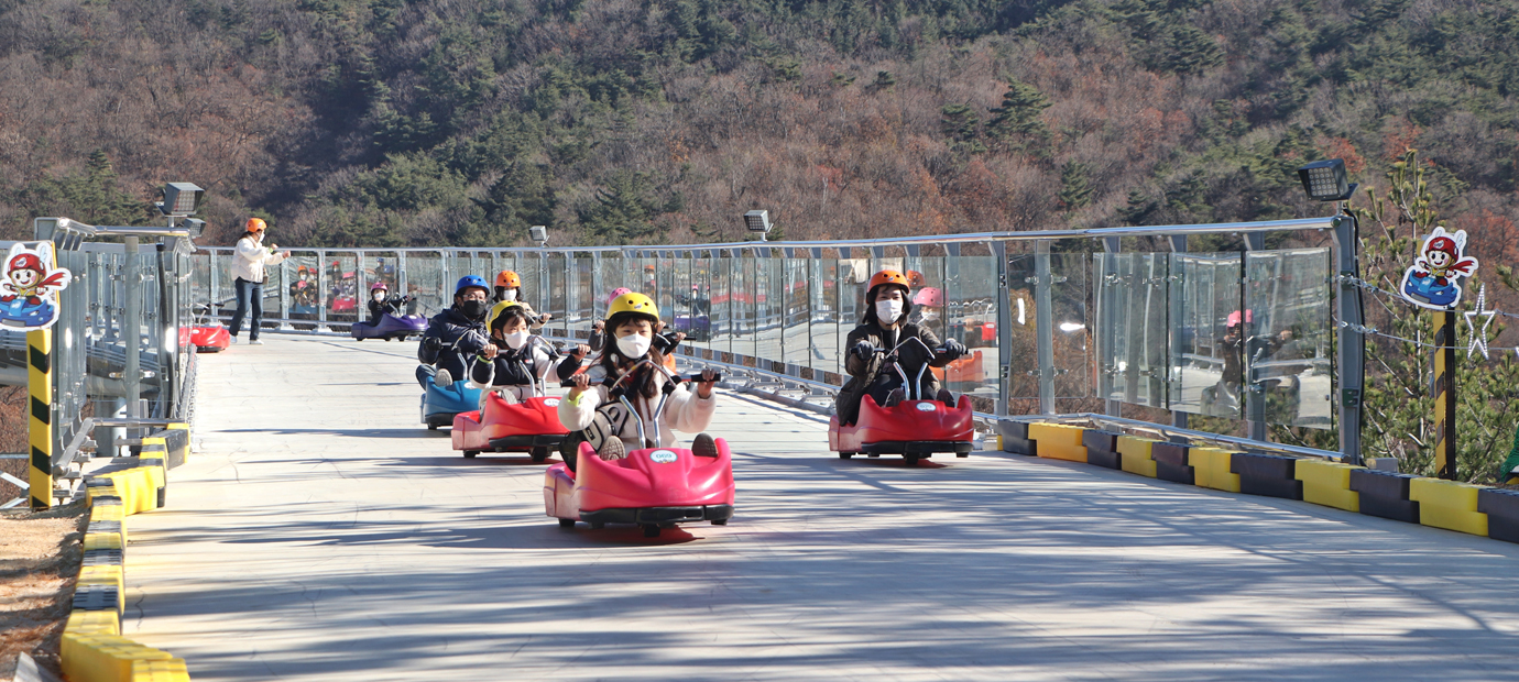 사계절 액티비티 ‘경주 루지월드’ 