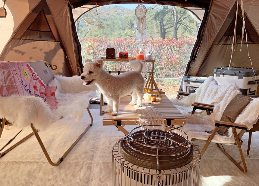 미탄사지 삼층석탑의 일몰