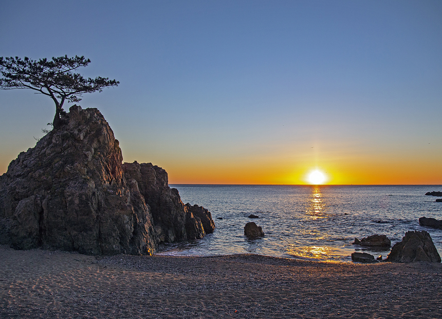 핑크뮬리가 아름다운 보문관광단지 사랑공원 피크닉