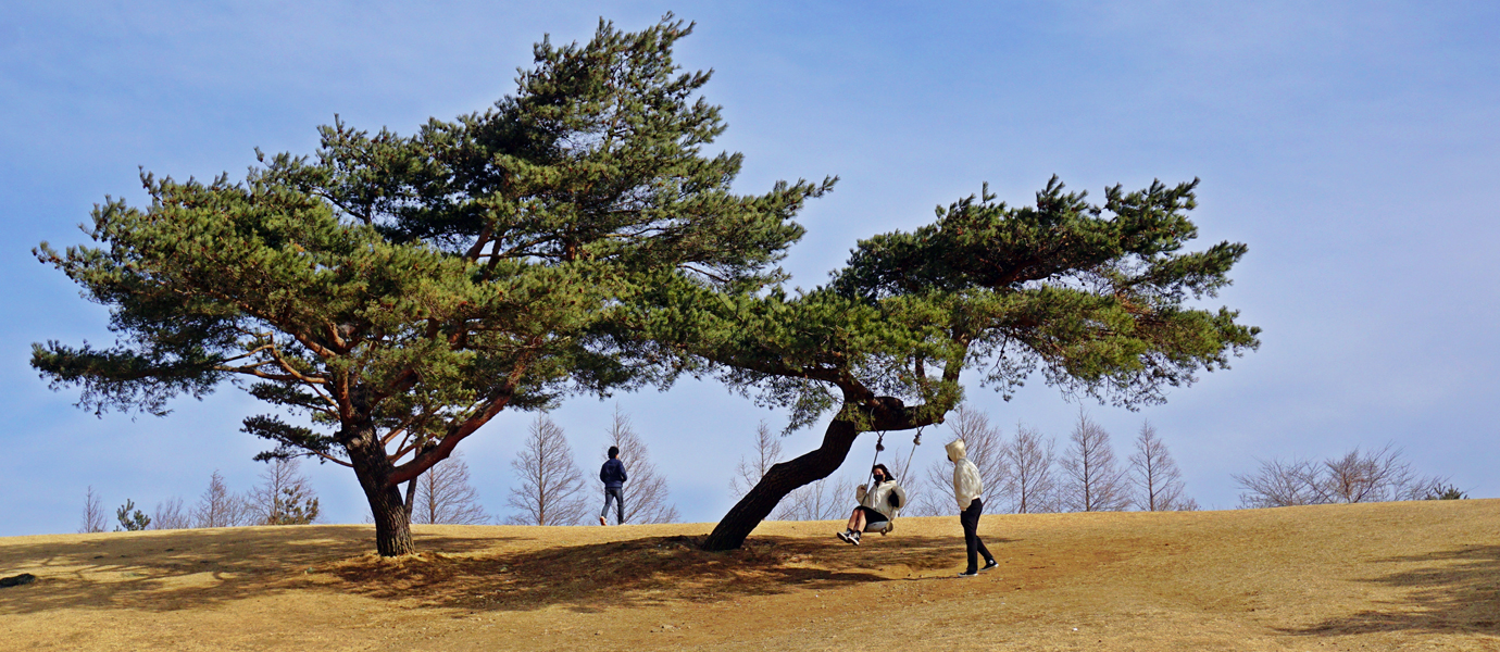 경주 화랑의 언덕 겨울 풍경
