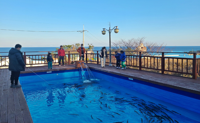 더마린 풀빌라 산천어 체험 2