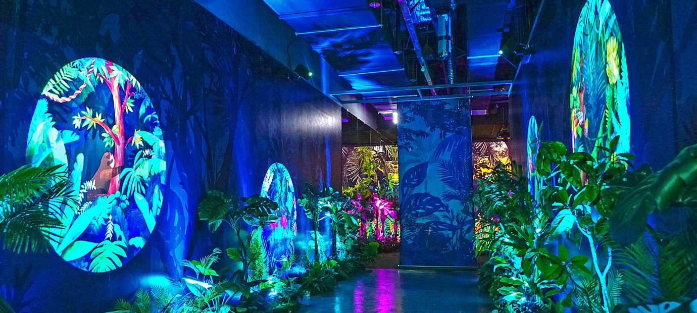 정글의 법칙 미디어 파크