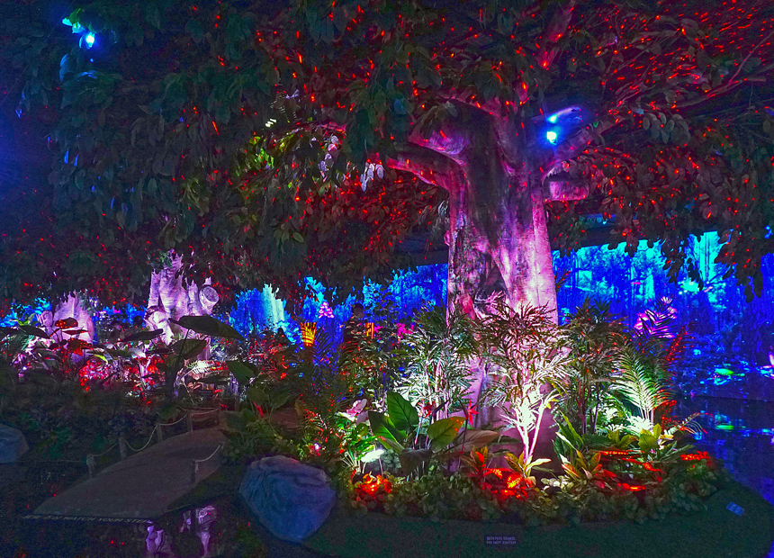 정글의 법칙 미디어 파크