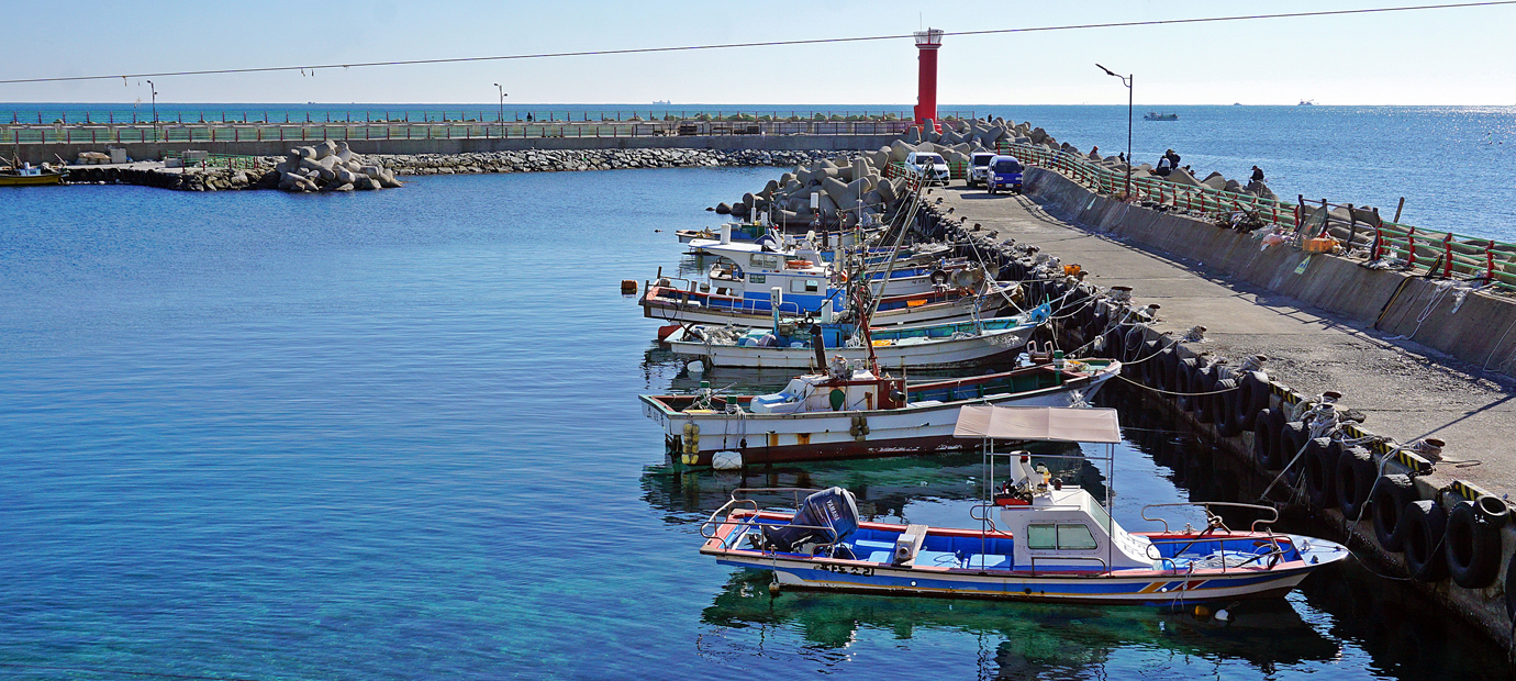 소담한 연동 방파제