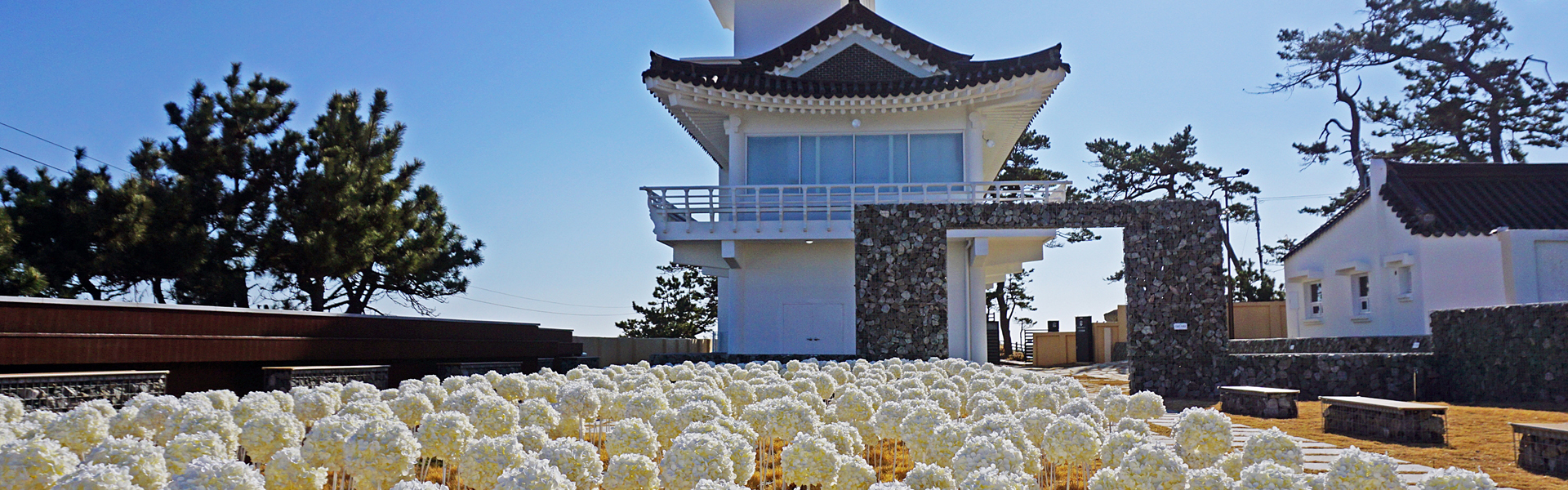 경주 엑스포대공원 전경