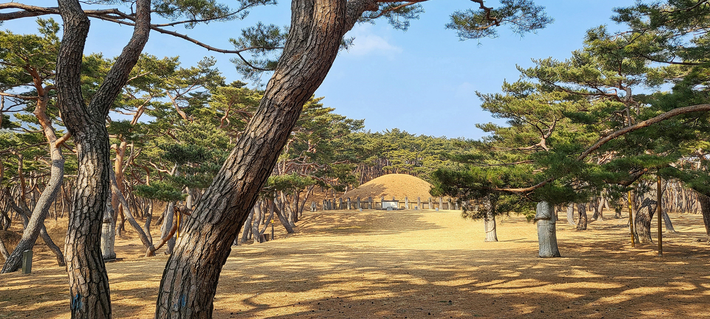 경주 안강읍 흥덕왕릉