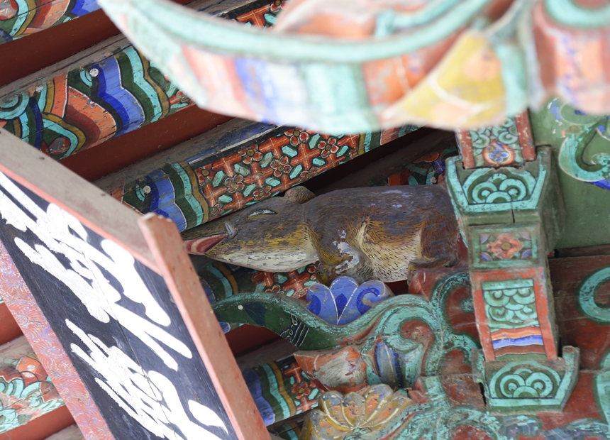 불국사 극락전 복돼지