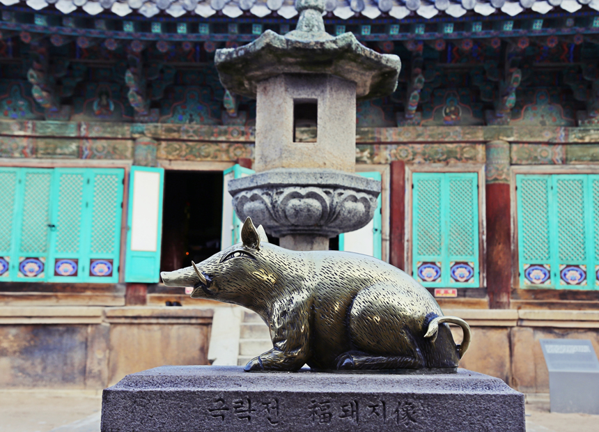 불국사 극락전 복돼지