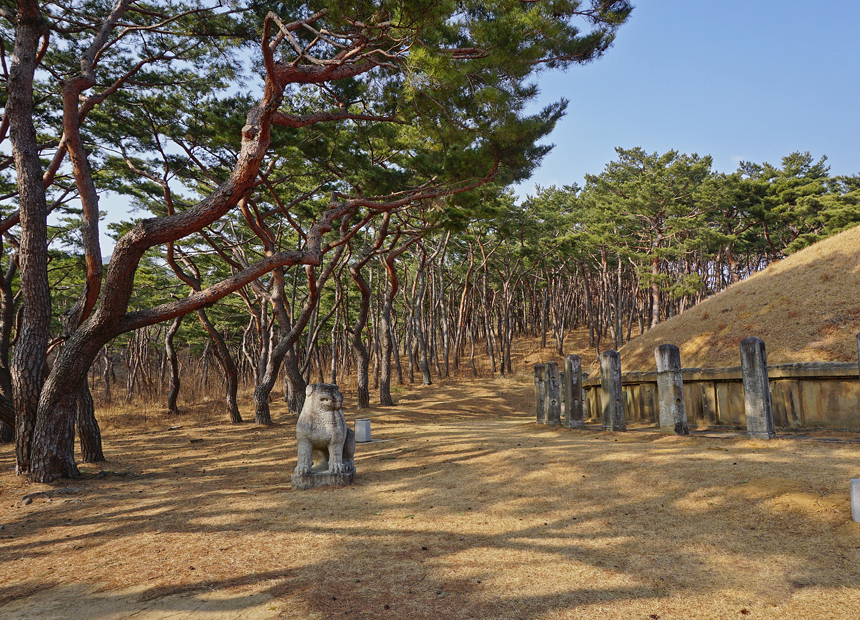 흥덕왕릉 구석구석