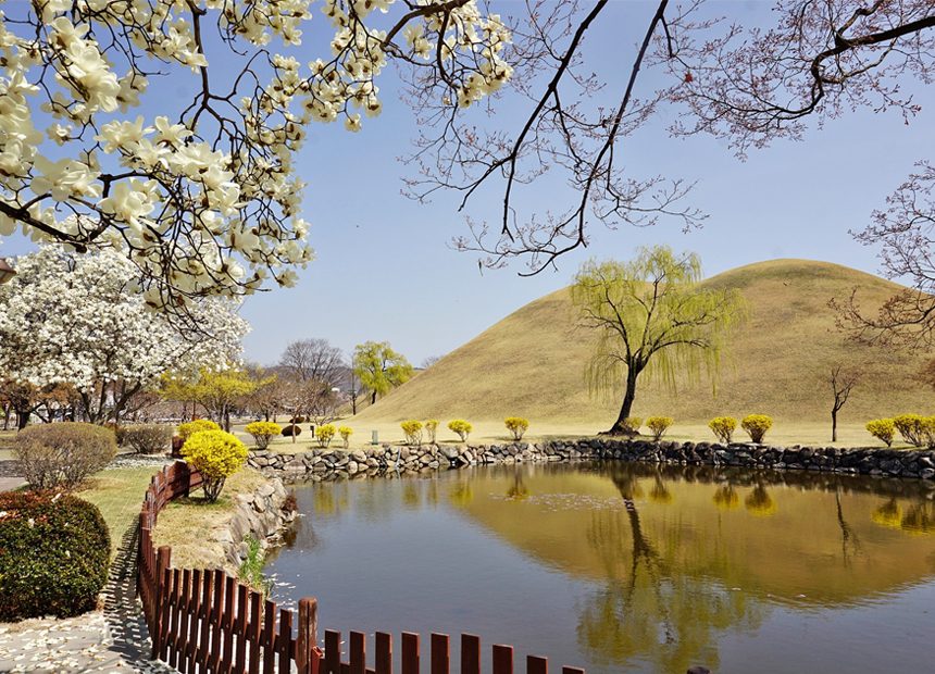 경주 대릉원의 봄