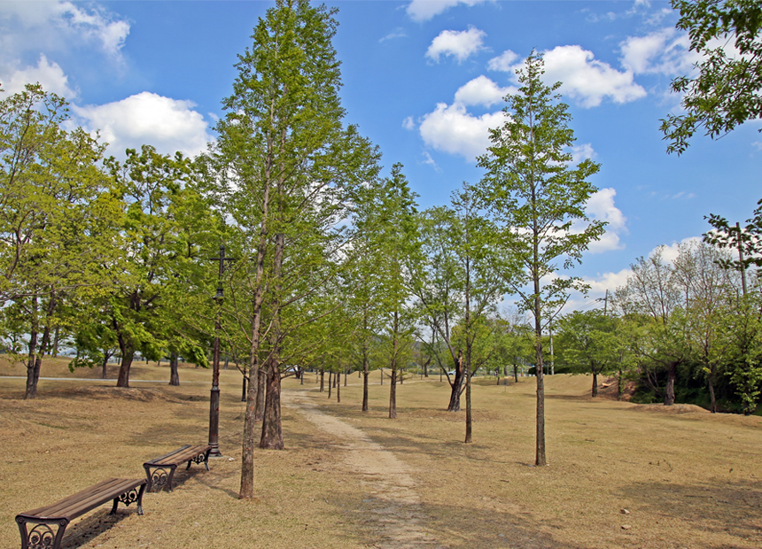신라왕경숲의 봄