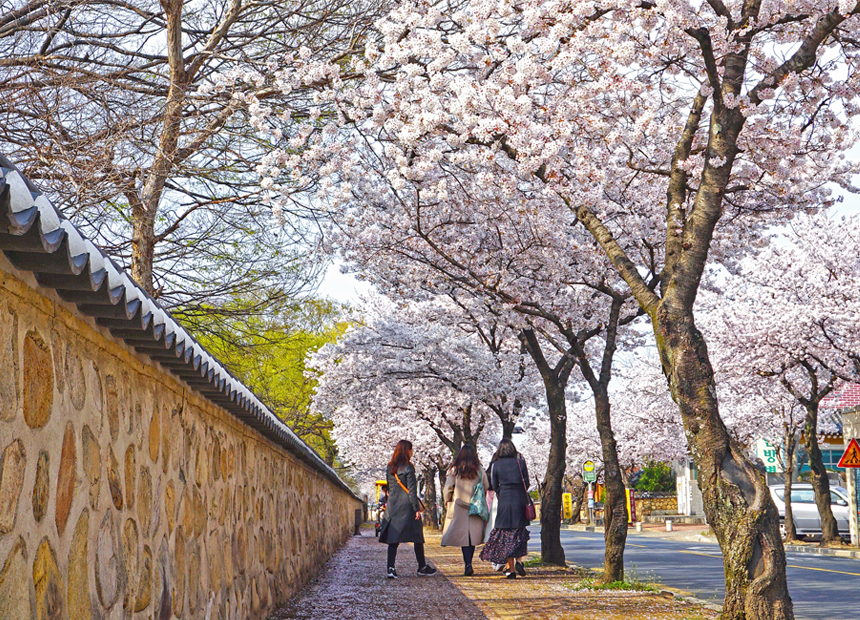오릉 후문 돌담길