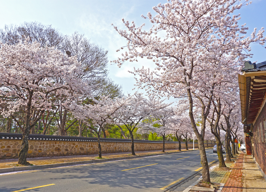 오릉 후문 돌담길