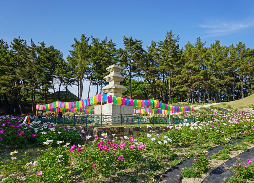 서악동 삼층석탑 작약꽃단지
