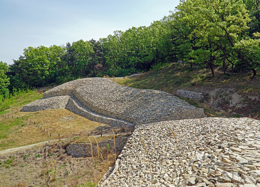 명활성 탐방로 숲길