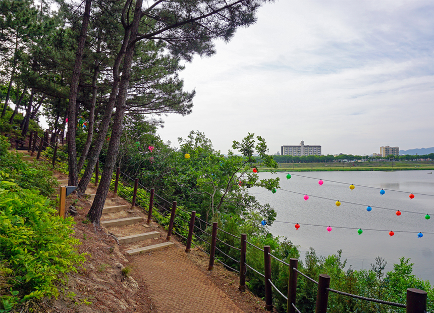 지난 형산강 연등 문화축제 장면