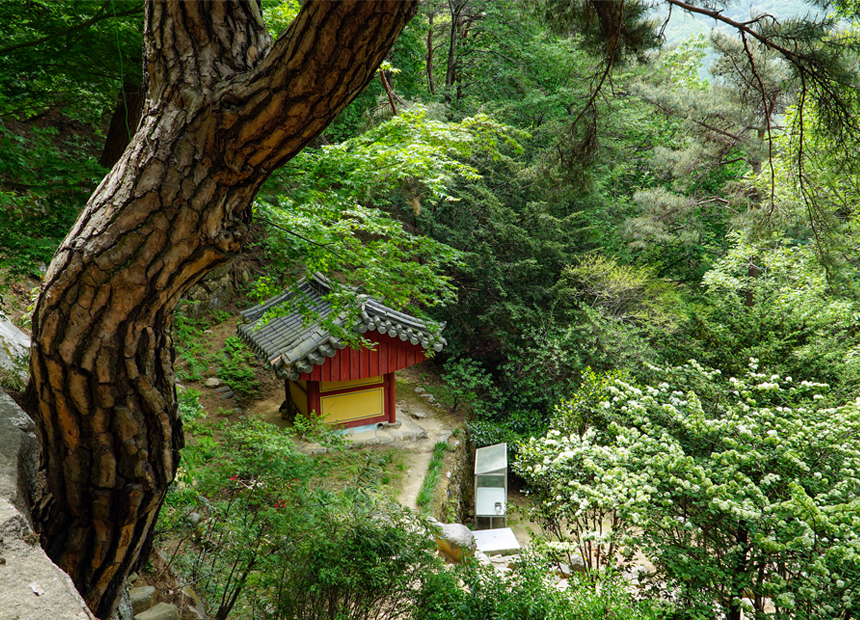 경주 율동 마애여래삼존입상이 있는 암자 주변 풍광
