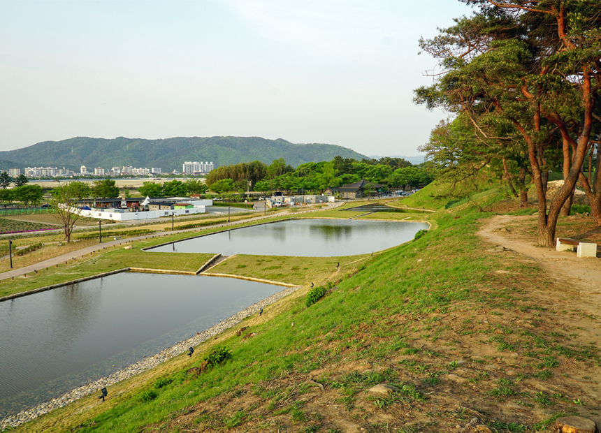 경주 월성 해자 전경