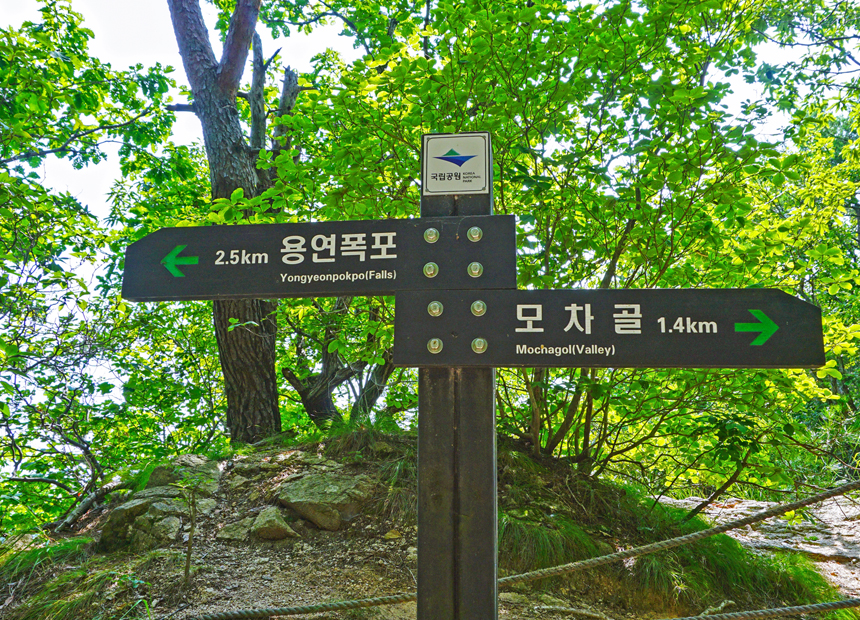 신문왕 호국 행차길 트레킹 코스