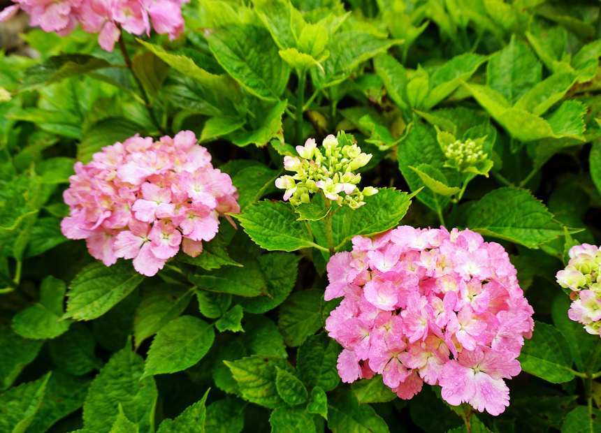 신문왕 호국 행차길 ‘기림사’ 