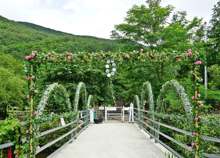 국민힐링파크 토끼마을