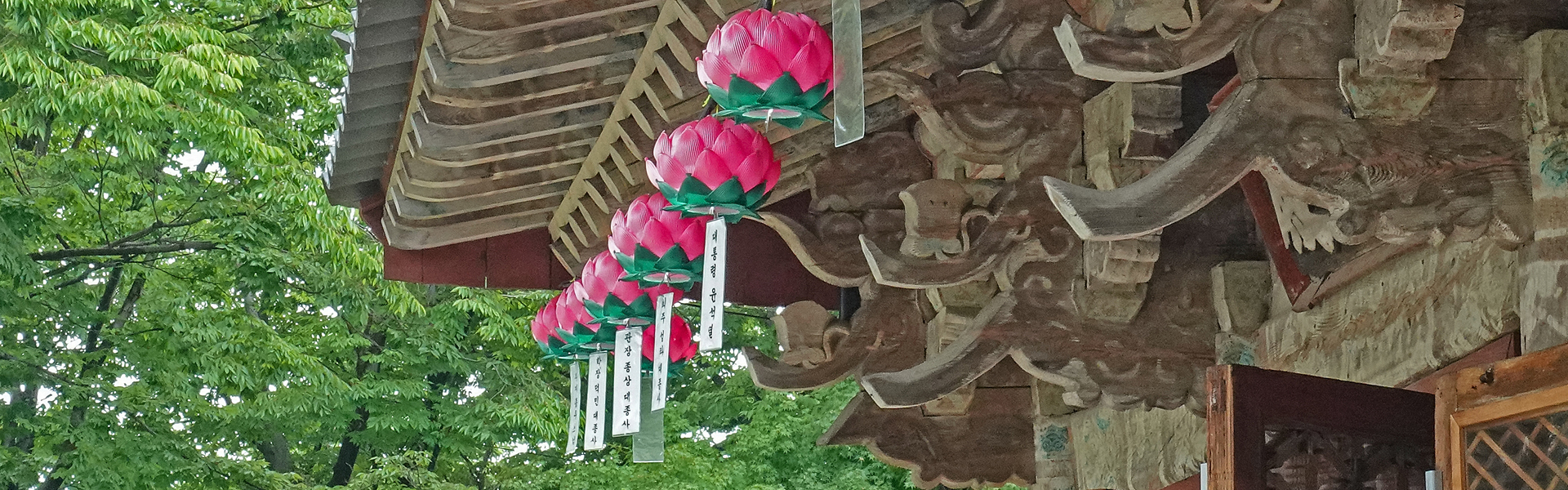 걷기 좋은 길 ‘황룡사마루길’ 