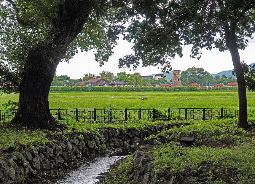 천년의 숲 계림