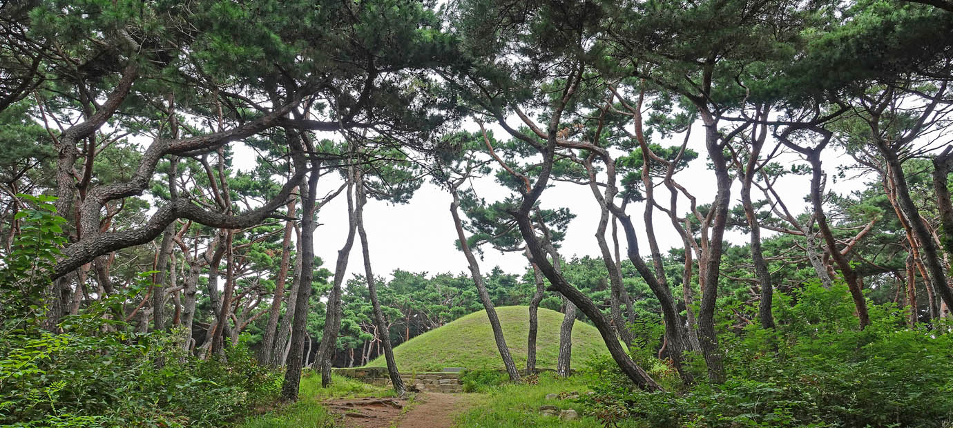 낭산 둘레길_선덕여왕릉 가는 길
