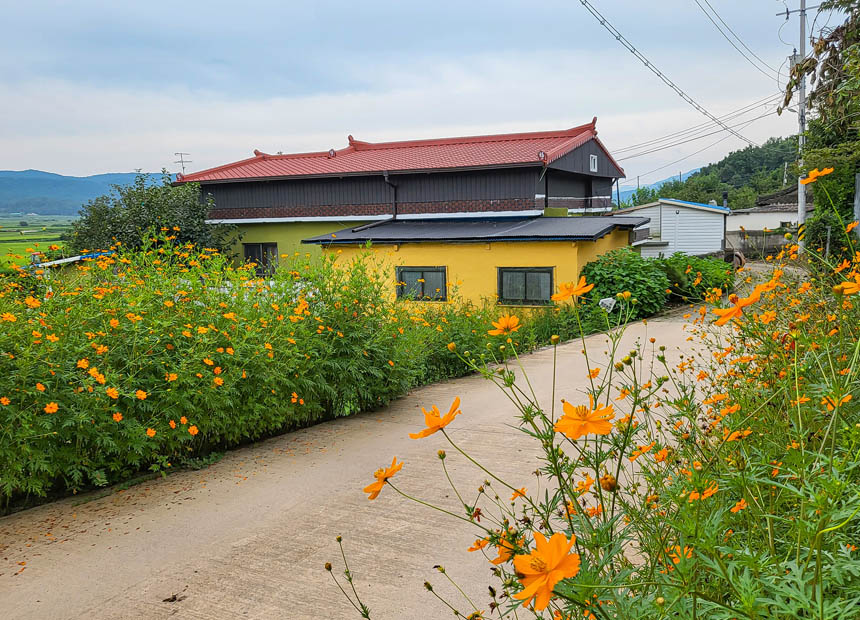 낭산 둘레길_황복사지 삼층석탑