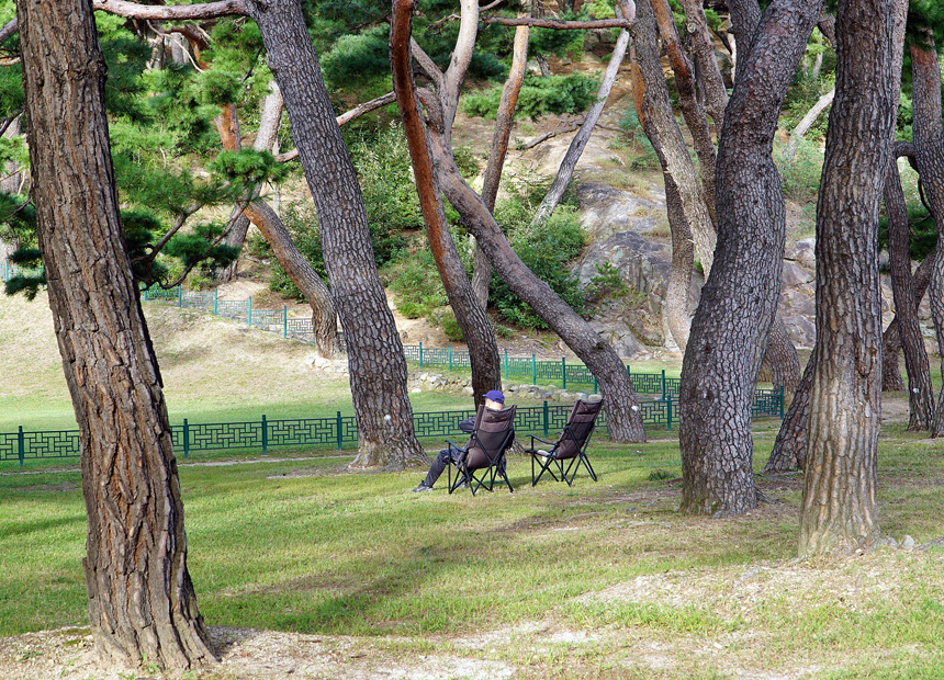 표암 인근 탈해왕릉과 솔숲