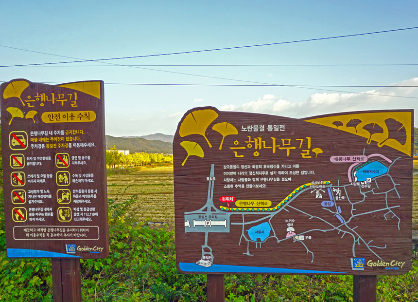 통일전 은행나무길