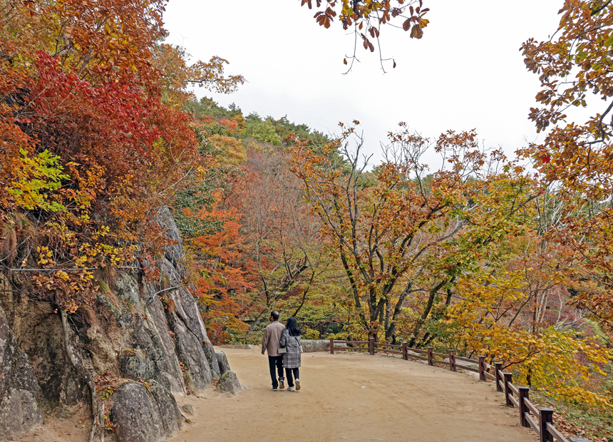 석굴암 석굴 가는 길