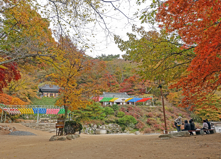 석굴암의 가을 전경
