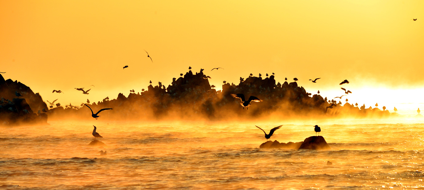 경주시 사진공모전 수상작_대왕암일출(고수경)