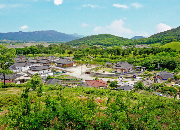 작약꽃이 피는 5월의 서악동 삼층석탑