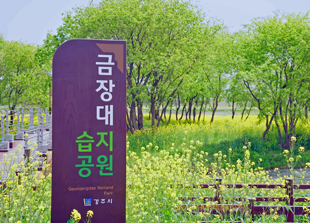 형산강 연등문화축제 금장대 전경  