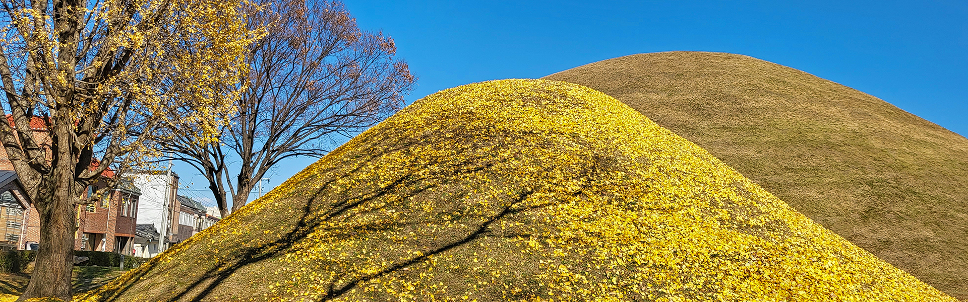 노서동고분군 