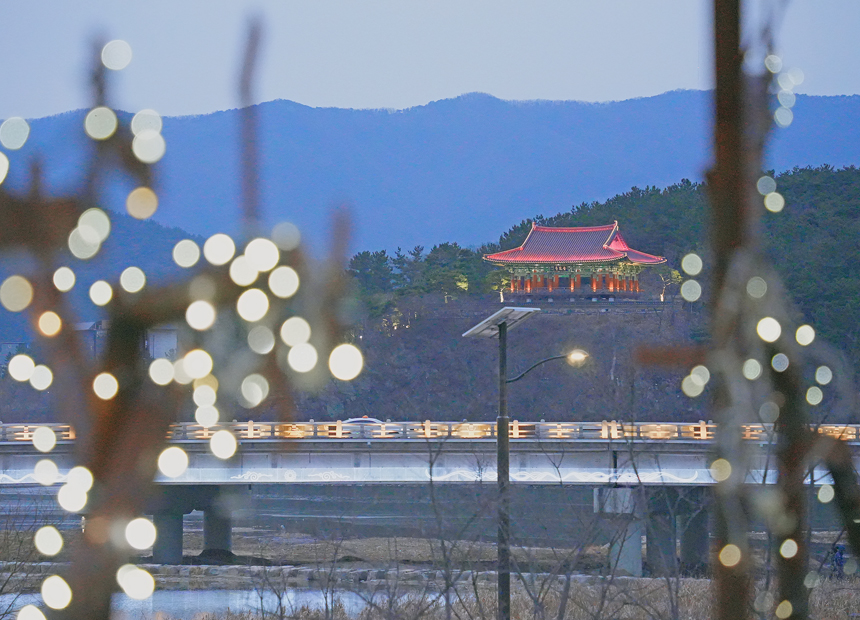 신라달밤 황금정원 갤러리_북천 수변 산책로 