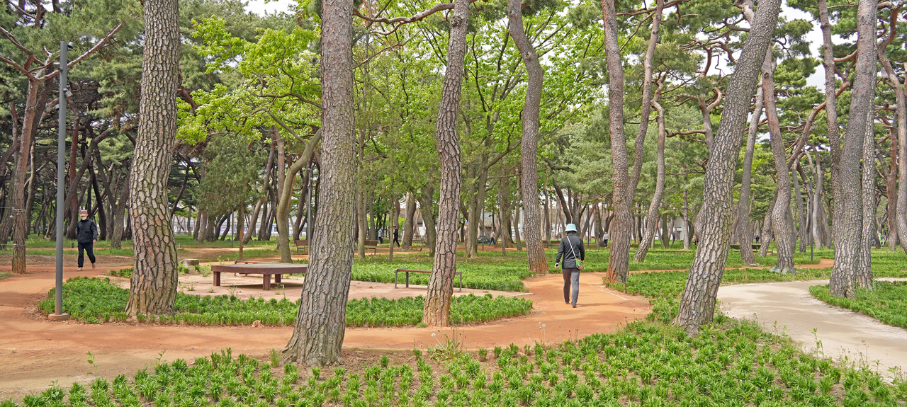 황성공원 천년 맨발길