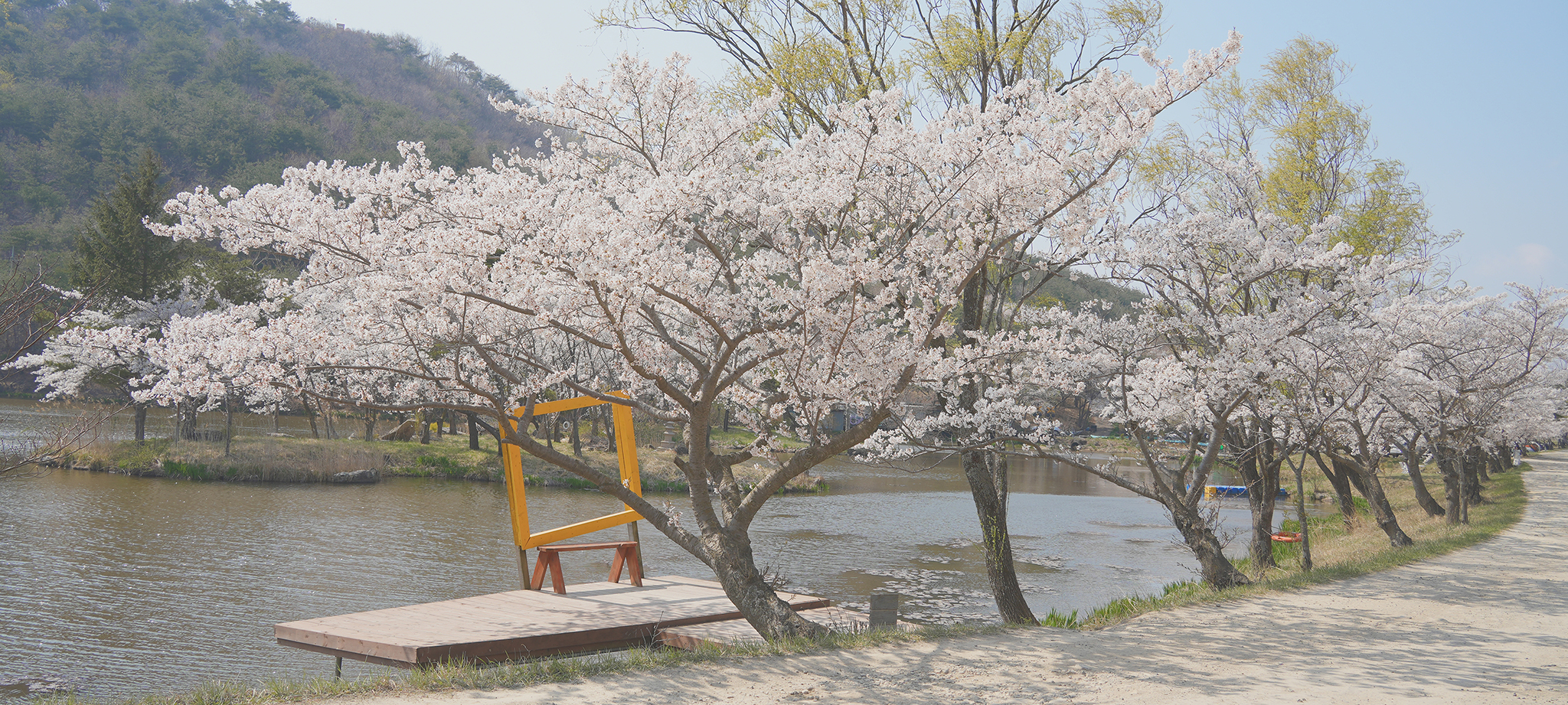 화랑의 언덕