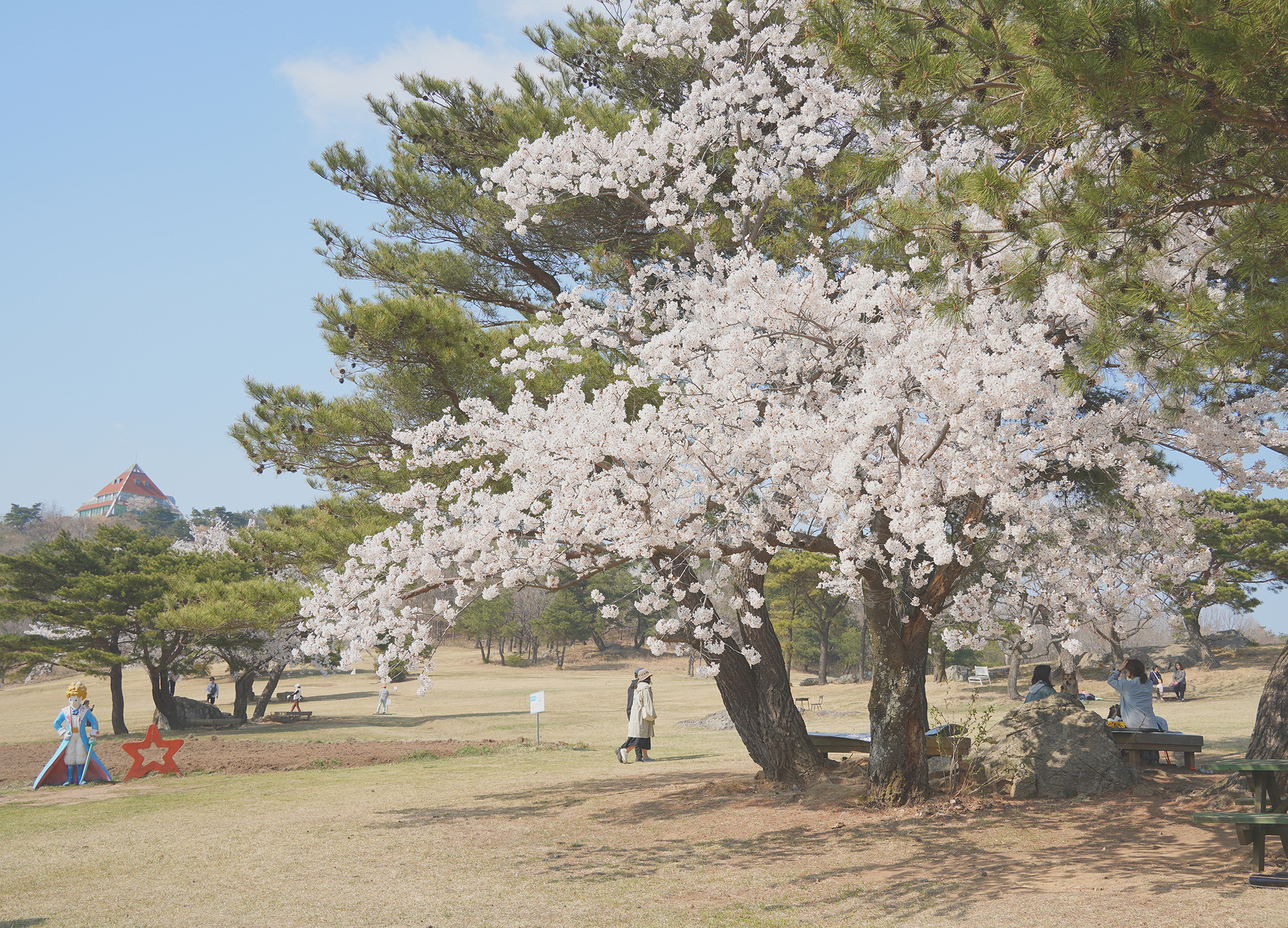 화랑의 언덕